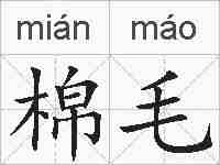 棉毛的拼音
