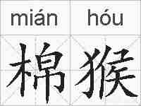 棉猴的拼音