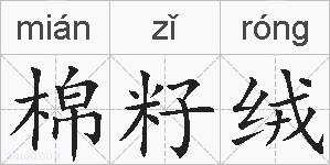 棉籽绒的拼音