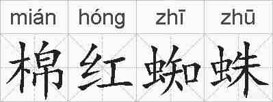 棉红蜘蛛的拼音