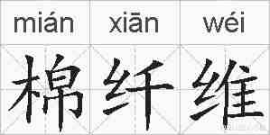 棉纤维的拼音