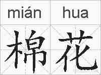 棉花的拼音