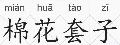 棉花套子的拼音