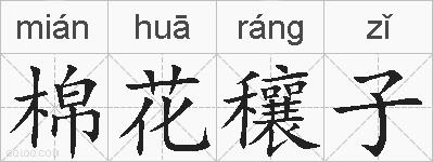 棉花穰子的拼音