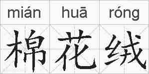 棉花绒的拼音
