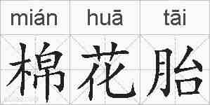 棉花胎的拼音