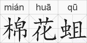 棉花蛆的拼音