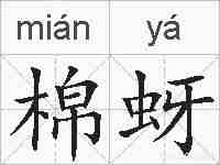 棉蚜的拼音