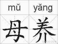 母养的拼音