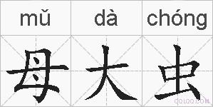 母大虫的拼音