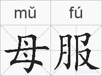 母服的拼音