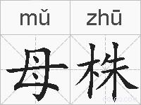 母株的拼音