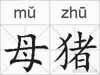 母猪的拼音