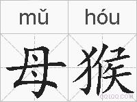 母猴的拼音