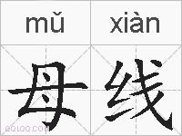 母线的拼音