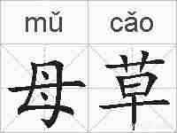 母草的拼音