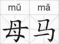 母马的拼音