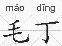 毛丁的拼音
