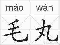 毛丸的拼音
