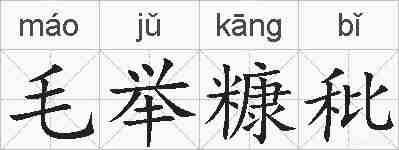 毛举糠秕的拼音