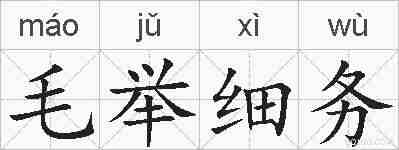 毛举细务的拼音