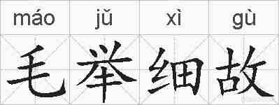 毛举细故的拼音