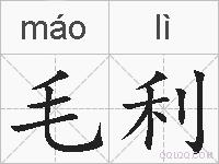 毛利的拼音