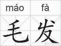 毛发的拼音