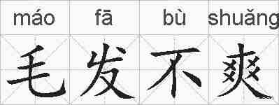 毛发不爽的拼音