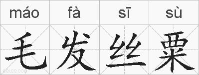 毛发丝粟的拼音