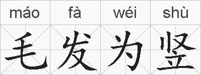毛发为竖的拼音
