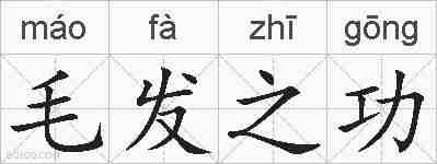 毛发之功的拼音