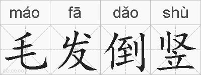 毛发倒竖的拼音