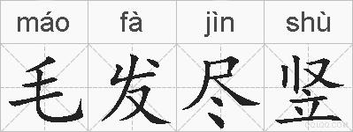 毛发尽竖的拼音