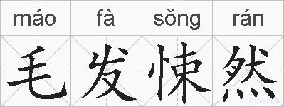 毛发悚然的拼音