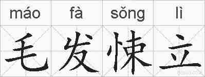 毛发悚立的拼音