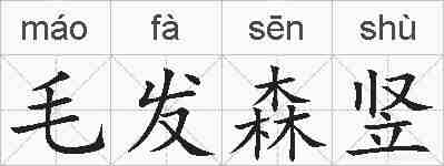 毛发森竖的拼音