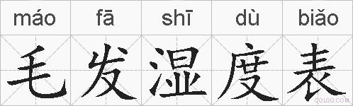 毛发湿度表的拼音