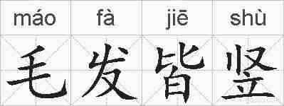 毛发皆竖的拼音