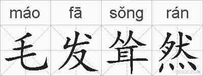 毛发耸然的拼音