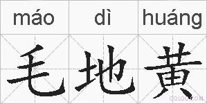 毛地黄的拼音
