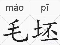 毛坯的拼音