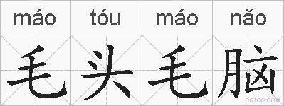 毛头毛脑的拼音