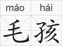 毛孩的拼音
