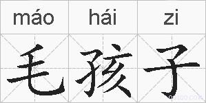 毛孩子的拼音