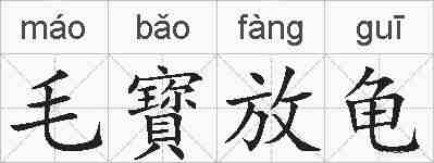 毛寳放龟的拼音