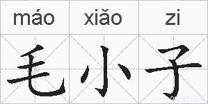 毛小子的拼音