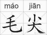 毛尖的拼音