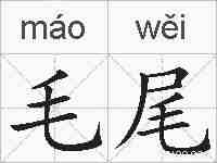 毛尾的拼音