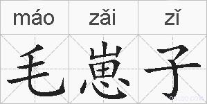 毛崽子的拼音